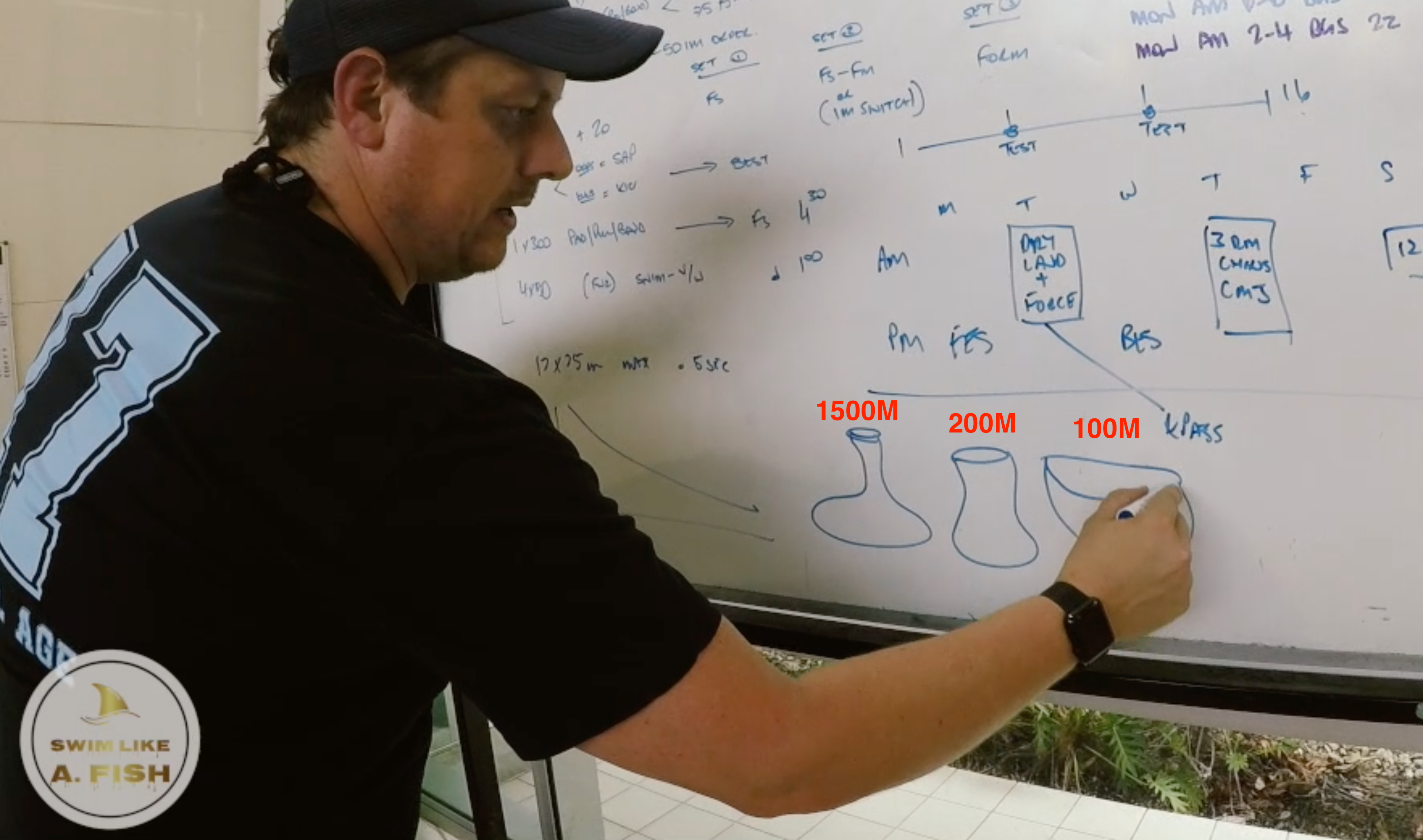Volume and Intensity within Your Swimming Training Plan is going to Determine the Aperture of Your Flow Rate