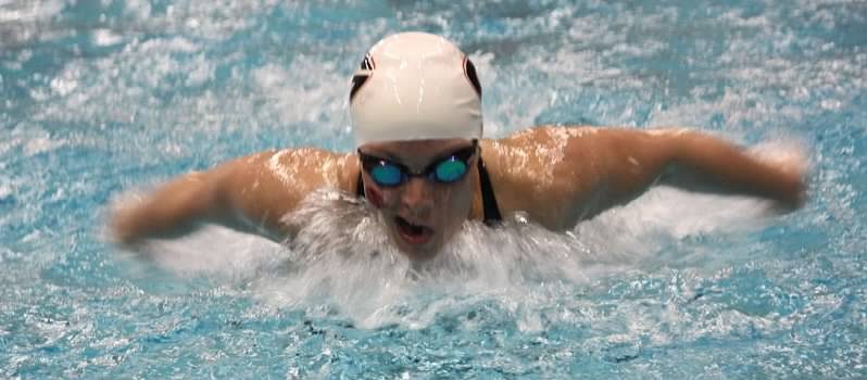 2 Different Types of Undulation in Butterfly